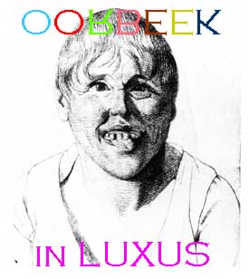 flyer luxus